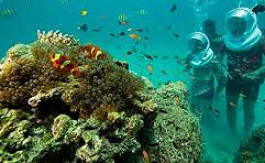 Andaman Tour Packages